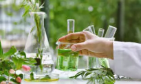 Plant Compounds May Be Effective Alternative Treatment for Rosacea: New Review