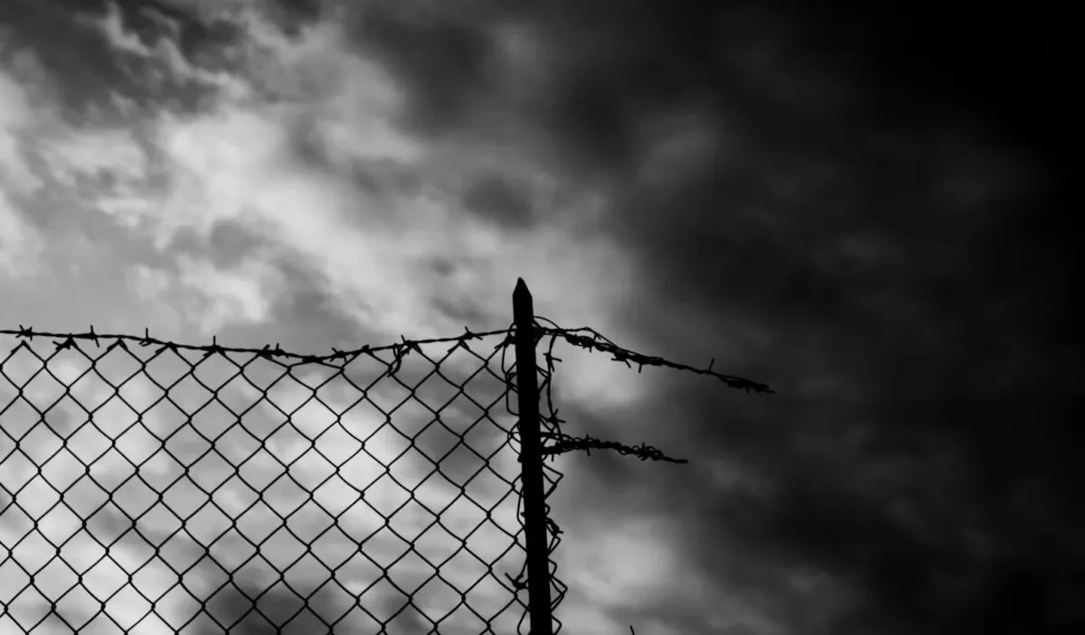 (Grenar/Shutterstock)