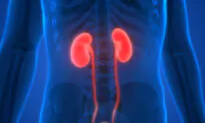 3 Expert Tips for Kidney Health: Promoting Longevity and Well-Being