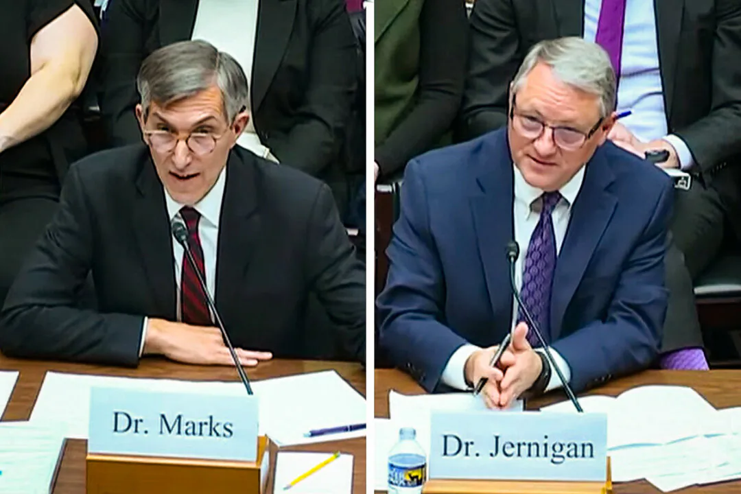 (Select Subcommittee on the Coronavirus Pandemic, Screenshot via The Epoch Times)