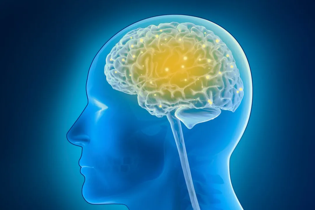 (Brandpunkt/Shutterstock)