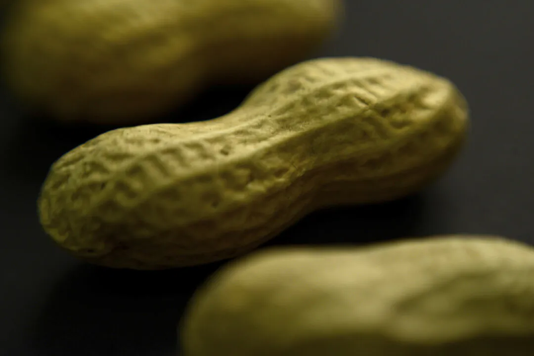 Aan arrangement of peanuts in New York on Feb. 20, 2015. Xolair, the brand name for the drug omalizumab, used to treat asthma can now be used to help people with food allergies avoid severe reactions, the U.S. Food and Drug Administration said on Feb. 16, 2024. (AP Photo/Patrick Sison)