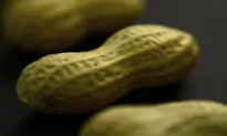 FDA Expands Use of Asthma Drug Xolair to Treat Severe Food Allergies
