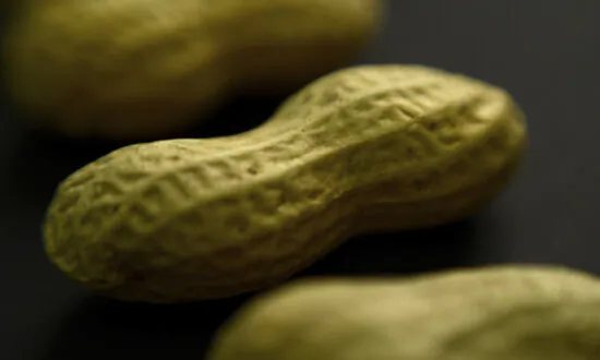 FDA Expands Use of Asthma Drug Xolair to Treat Severe Food Allergies