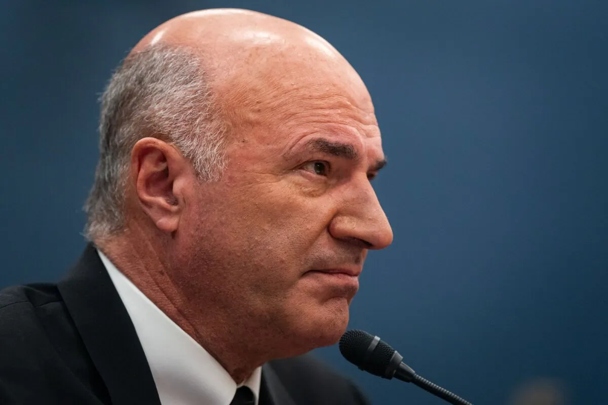 Kevin O’Leary, chairman of O'Leary Ventures, testifies before the House Committee on Small Business during a hearing at the Rayburn House Office Building on January 18, 2024, in Washington. (Kent Nishimura/Getty Images)