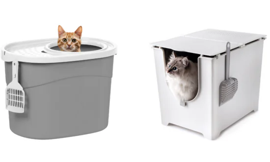 The Best Cat Litter Boxes