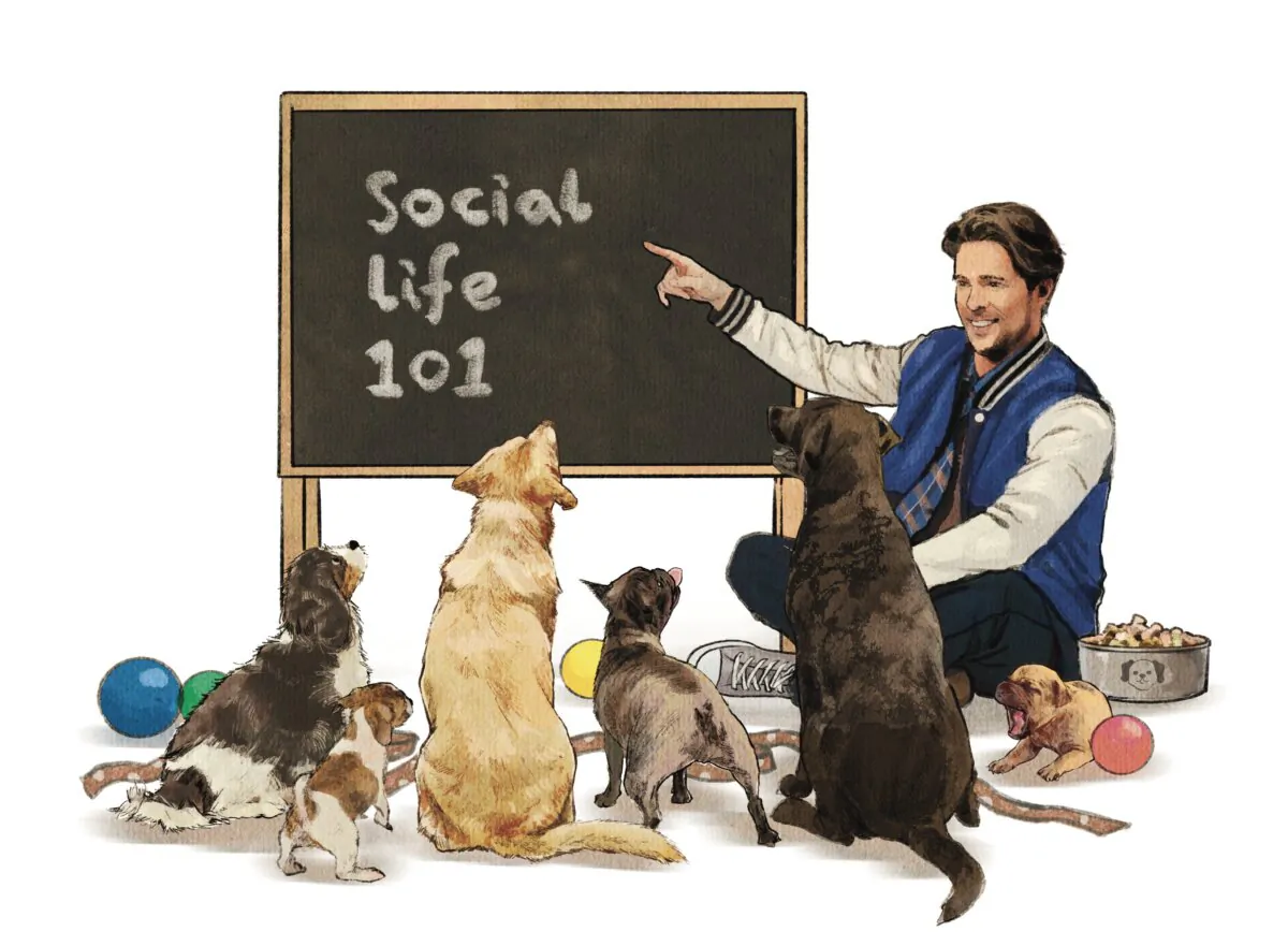 A dog is never too old to learn new tricks, and that includes social skills. (Oriana Zhang/The Epoch Times)