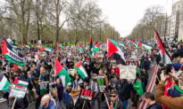 12 Arrests at Pro-Palestine March in London