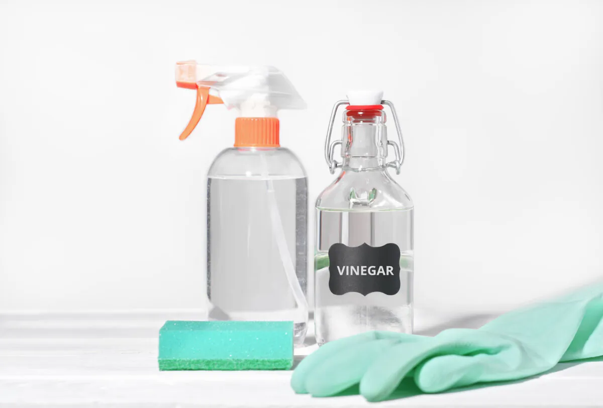 You can easily find everyday white distilled vinegar in any grocery store. (Y.P.photo/Shutterstock)