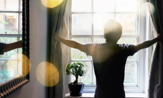 Light Matters: The Simple Morning Ritual That Could Transform Your Health