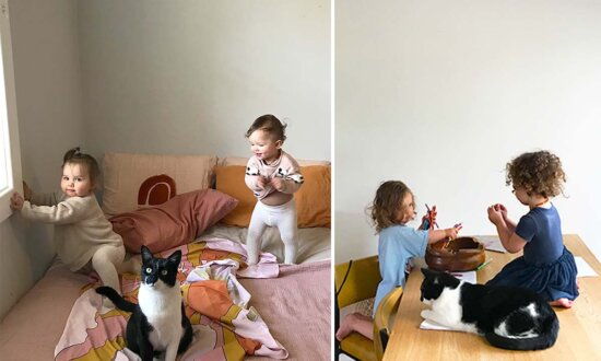 'The Constant in It All': Rescued Cat Obsessed With Owner's Twins Doesn't Leave Their Side