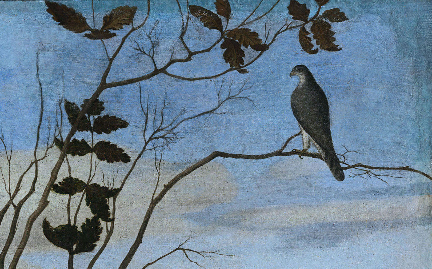 Falcon from "Young Knight in a Landscape," 1510, by Vittore Carpaccio.
