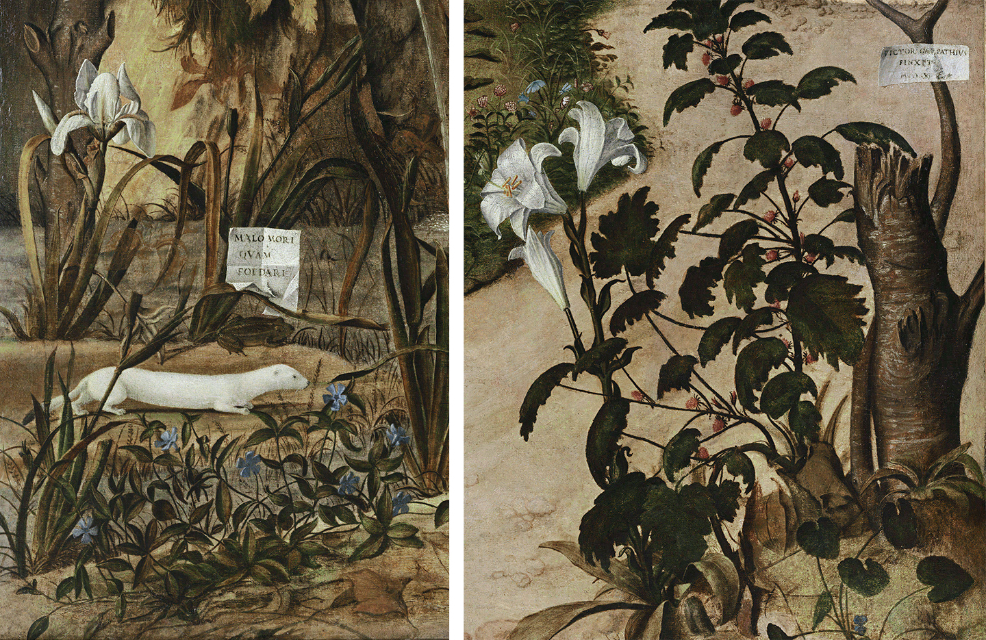 Details of flora and fauna from "Young Knight in a Landscape," 