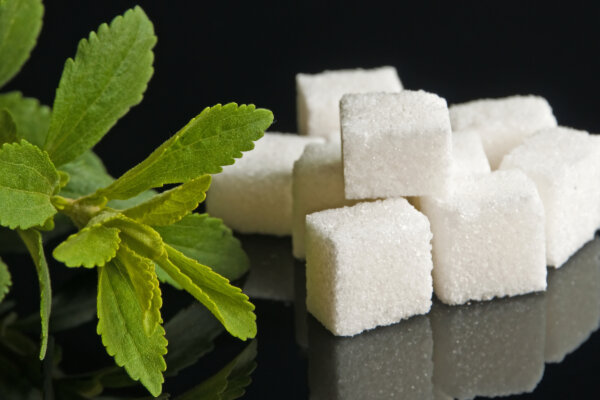 Popular Sweetener Raises New Health Concerns