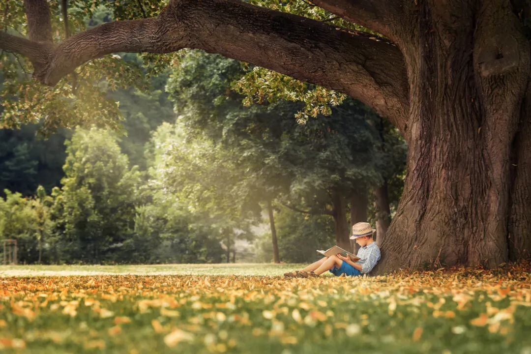 (Soloviova Liudmyla/Shutterstock)