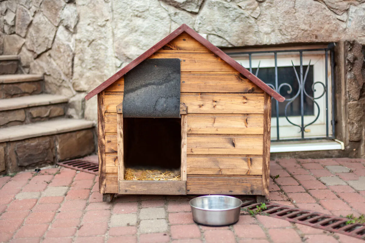 Consider the size of your dog when making plans for the dog house. (Xolodan/Shutterstock)