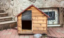Simple-to-Build Doghouse