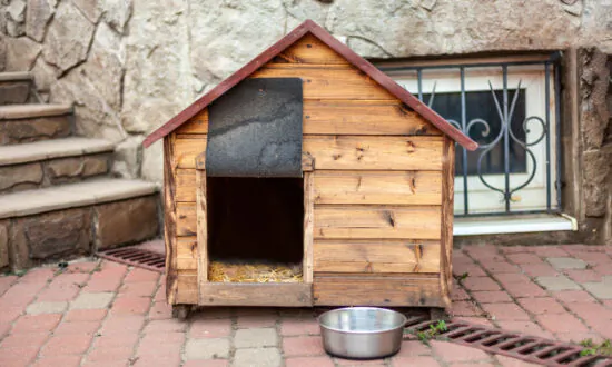 Simple-to-Build Doghouse