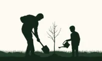 A Revolution in the Soil