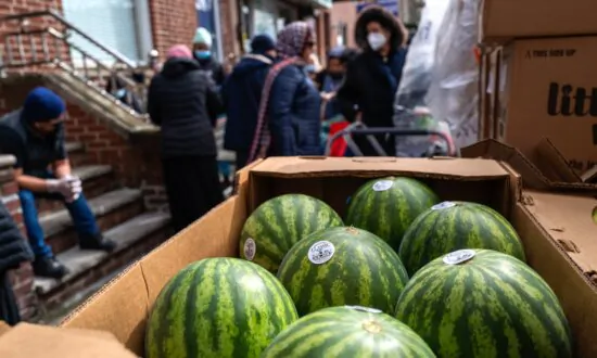 More Than Half of New Yorkers Living in Poverty, Classified as Low-Income: Report