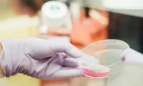 Alabama Supreme Court’s Embryo Ruling Embodies America’s Legal Heritage