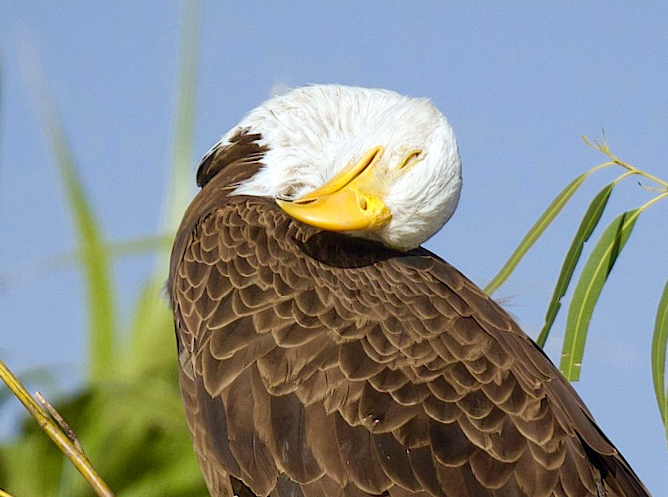 Epoch Times Photo