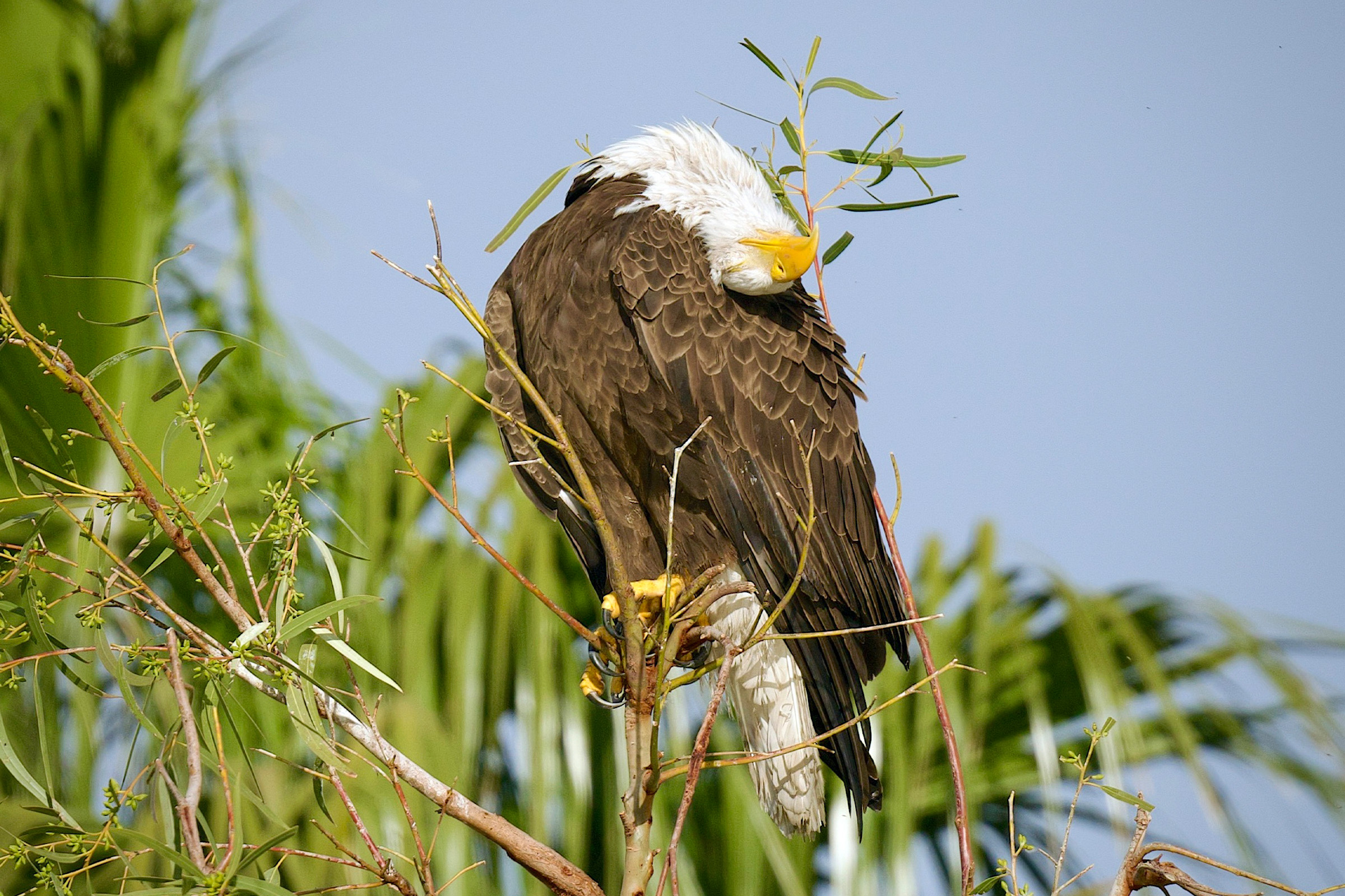 Epoch Times Photo