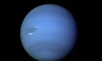 Astronomers Spot New Tiny Moons Around Neptune and Uranus