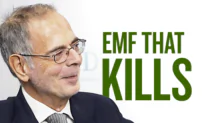 Professor Says a Human Can Be Killed With EMF Radiation Found at Home | Dr. Paul Héroux