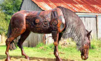 Welding Artist Creates Life-Sized Animal Sculptures, Made Entirely From Scrap Metal: ‘A Huge Jigsaw Puzzle’