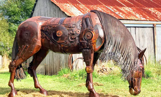 Welding Artist Creates Life-Sized Animal Sculptures, Made Entirely From Scrap Metal: ‘A Huge Jigsaw Puzzle’