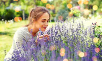 Backyard Aromatherapy: How to Design a Fragrant Garden