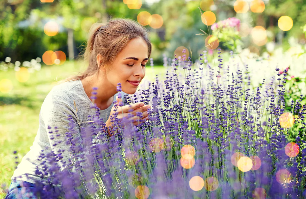Scented flowers can evoke strong memories, feelings of happiness, or relaxation. (Ground Picture/Shutterstock)