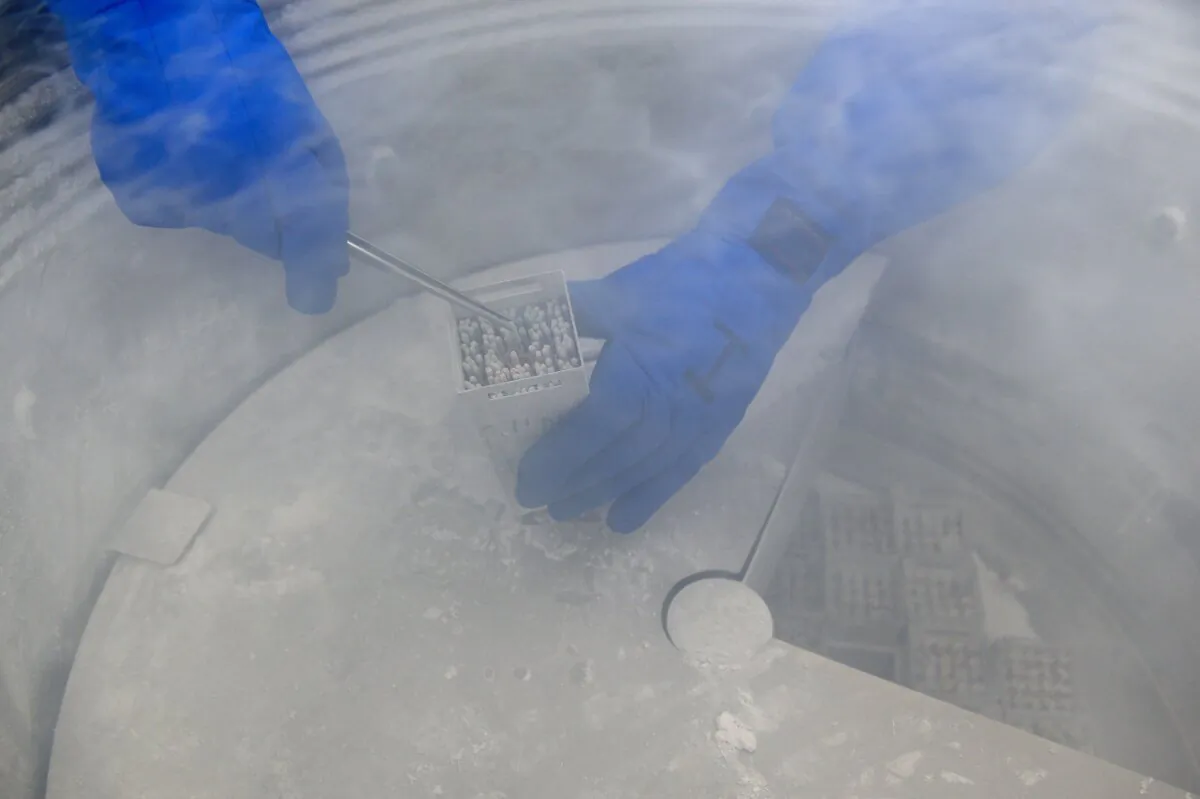 An employee at the clinic Eugin manipulates samples of embryos, eggs, and sperm cryopreserved in a nitrogen tank, in Barcelona, on May 25, 2016. (Lluis Gene/AFP via Getty Images)