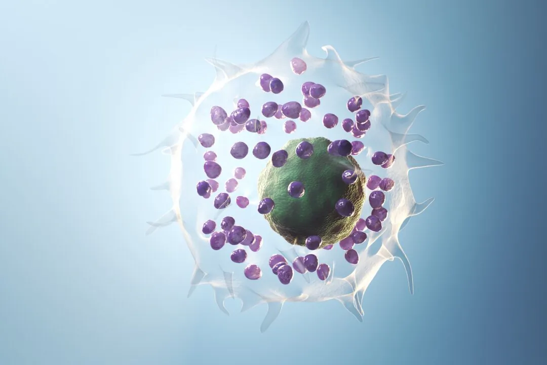 3d illustration of a mast cell. (SciePro/Shutterstock)