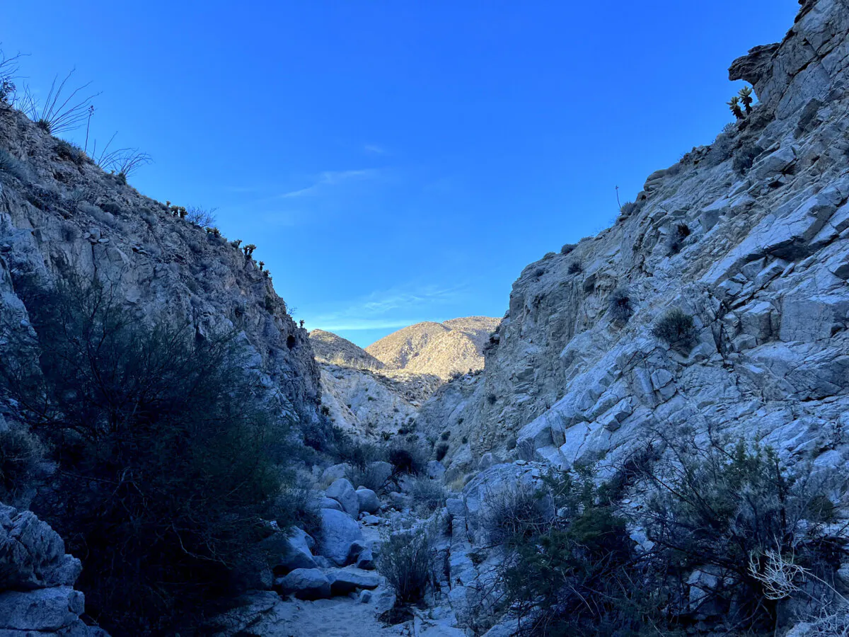Hiking through Moonlight Canyon, located near Agua Caliente County Park. (Maura Fox/The San Diego Union-Tribune/TNS)