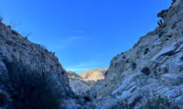 Embrace the Desert Season With a Camping Trip to Anza-Borrego This Winter