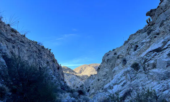 Embrace the Desert Season With a Camping Trip to Anza-Borrego This Winter