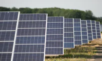 MPs Raise Concerns Over Farm Land Used for Green Energy Projects Affecting ‘Food Security’