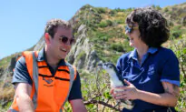 Penguin That Stopped Flights From Leaving NZ Released Back Into the Wild