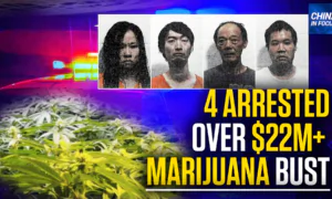 4 Chinese Nationals Arrested in Georgia Marijuana Bust