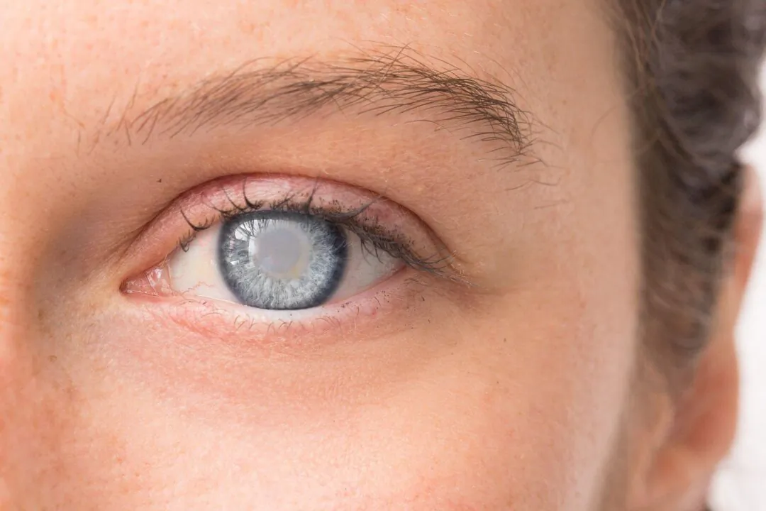 (sruilk/Shutterstock)