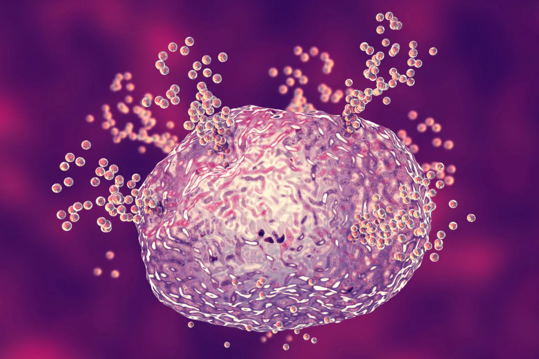 A mast cell releasing histamine during an allergic response. (Kateryna Kon/Shutterstock)