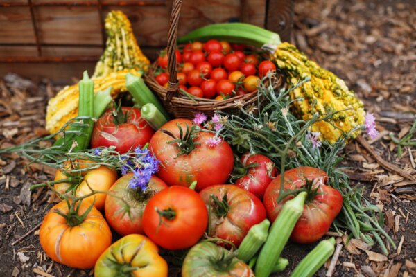 fall vegetables