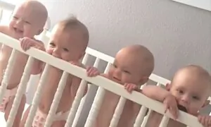 Tickles Are Great: Four Babies Laugh Together in Their Crib