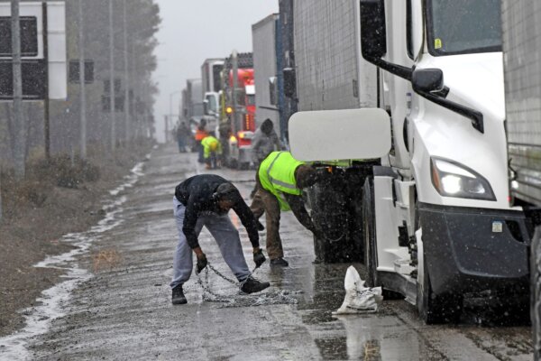 id5598289-drivers-and-trucks.jpg