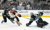 Ducks Outduel Floundering Sharks