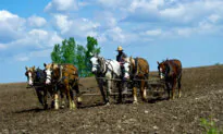 If the 1st Amendment Cannot Protect the Amish, Whom Can It Protect?