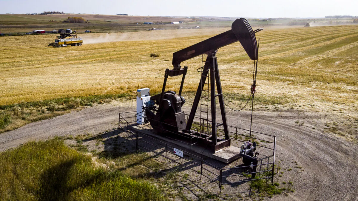 An oil and gas pumpjack in a wheat field near Cremona, Alta., on Oct. 1, 2020. (The Canadian Press/Jeff McIntosh)