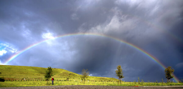 Epoch Times Photo